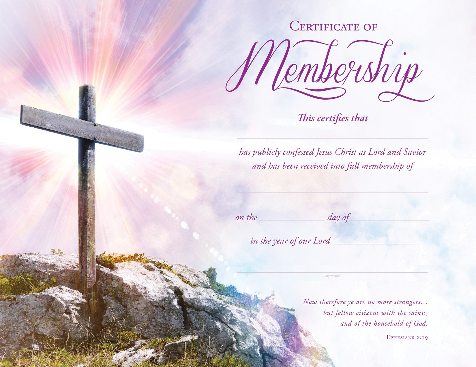 Certificate: Membership Purple, Foil Embossed (Ephesians 2:19)