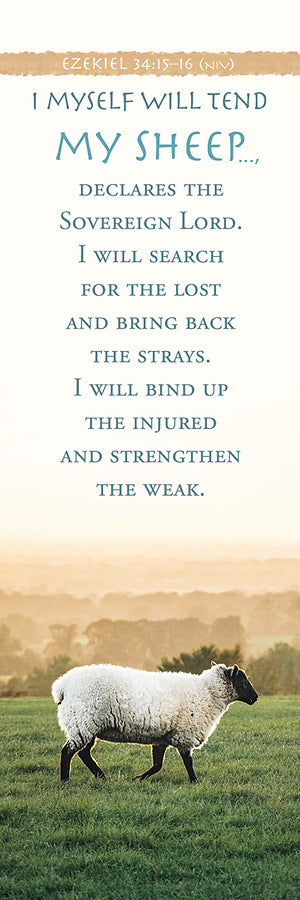 Bookmark (25 Pack): My Sheep (Ezekiel 34:15–16 NIV)