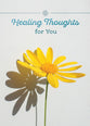 Boxed Cards Get Well: Sunshine for Cloudy Days (NIV, 12 cards/envelops, 3 each of 4 designs)