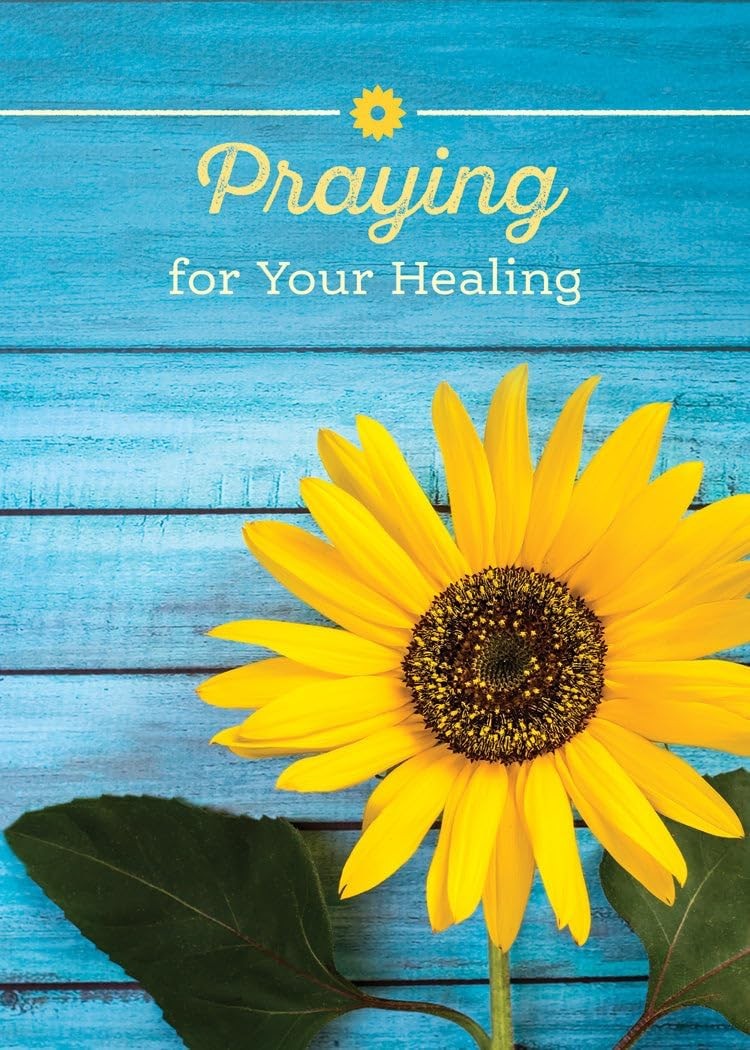 Boxed Cards Get Well: Sunshine for Cloudy Days (NIV, 12 cards/envelops, 3 each of 4 designs)