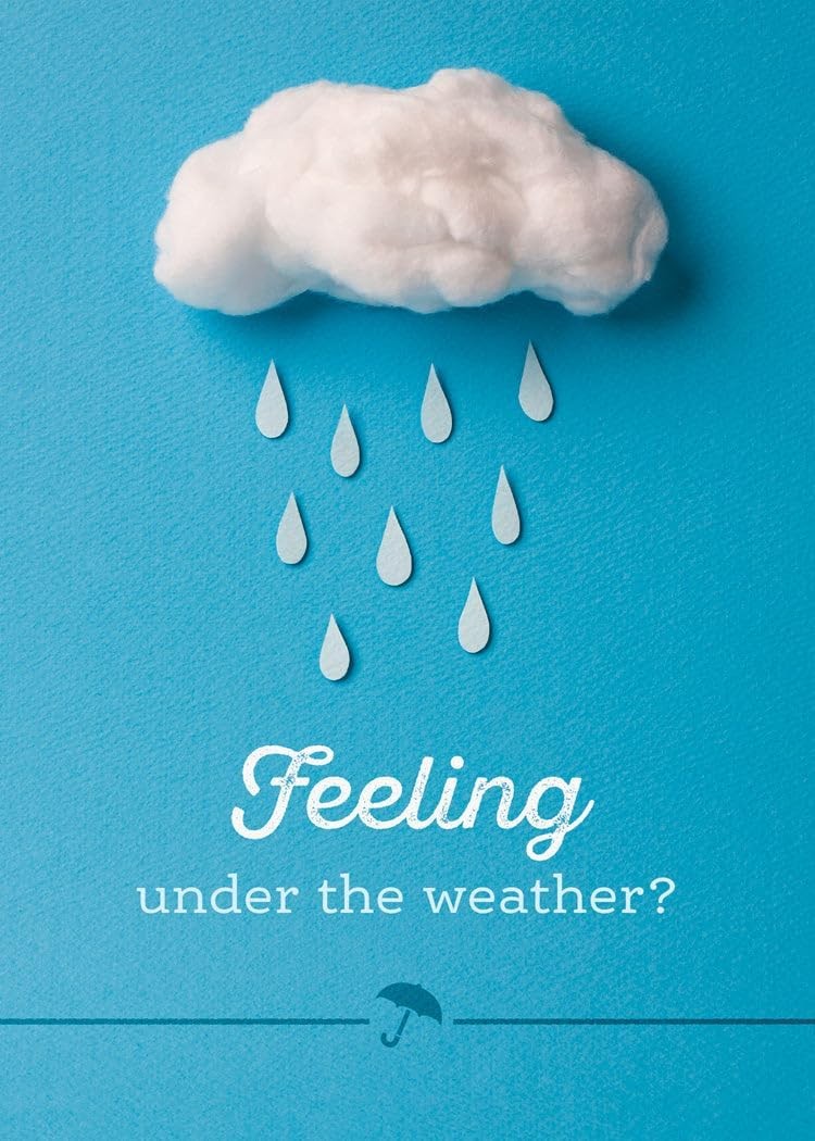 Boxed Cards Get Well: Sunshine for Cloudy Days (NIV, 12 cards/envelops, 3 each of 4 designs)