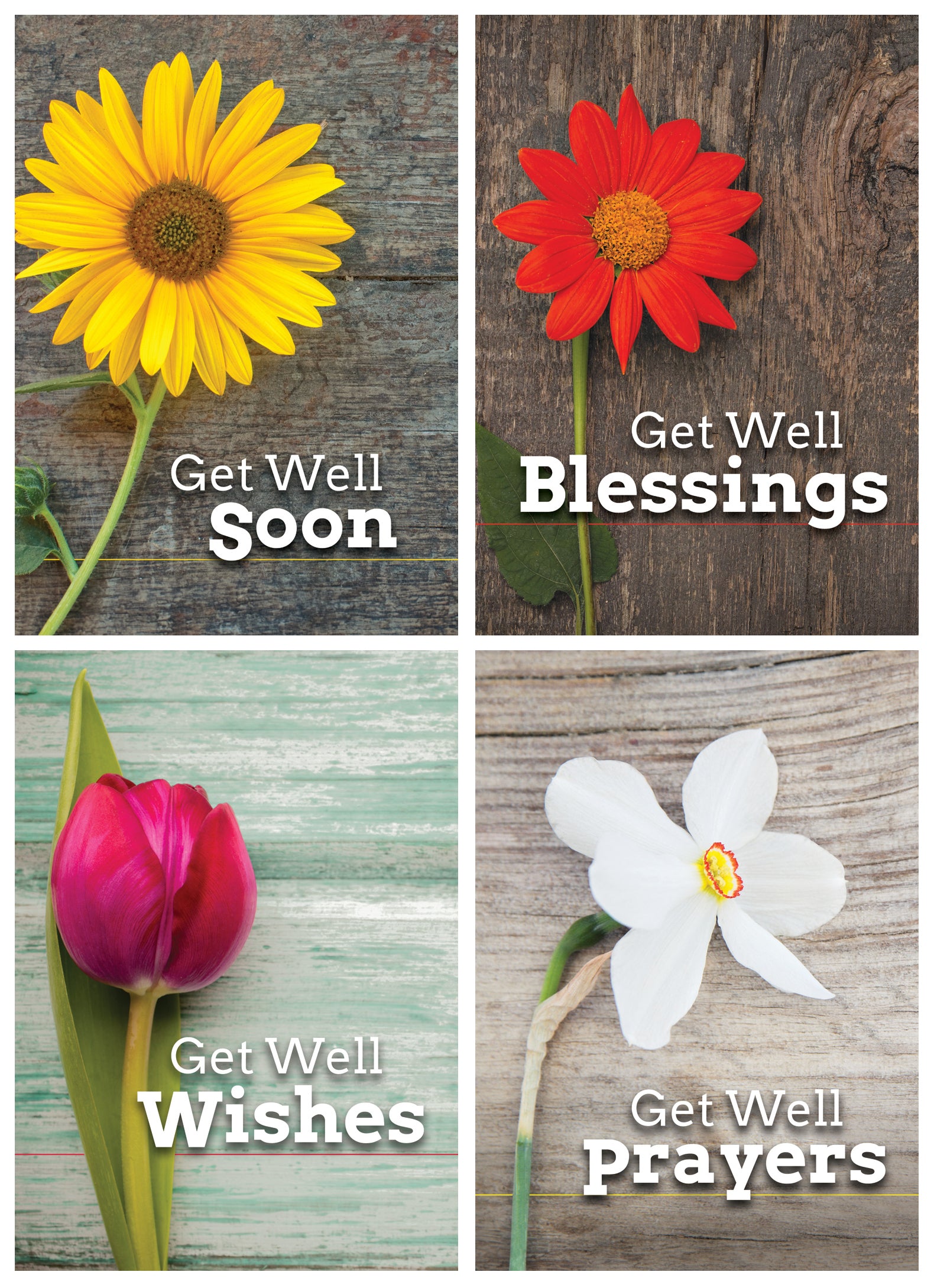 Boxed Cards Get Well: Healing Prayers (KJV, 12 cards/envelops, 3 each of 4 designs)