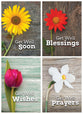 Boxed Cards Get Well: Healing Prayers (KJV, 12 cards/envelops, 3 each of 4 designs)