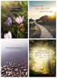 Boxed Cards Praying for You: Heartwarming Hope (KJV, 12 cards/envelops, 3 each of 4 designs)