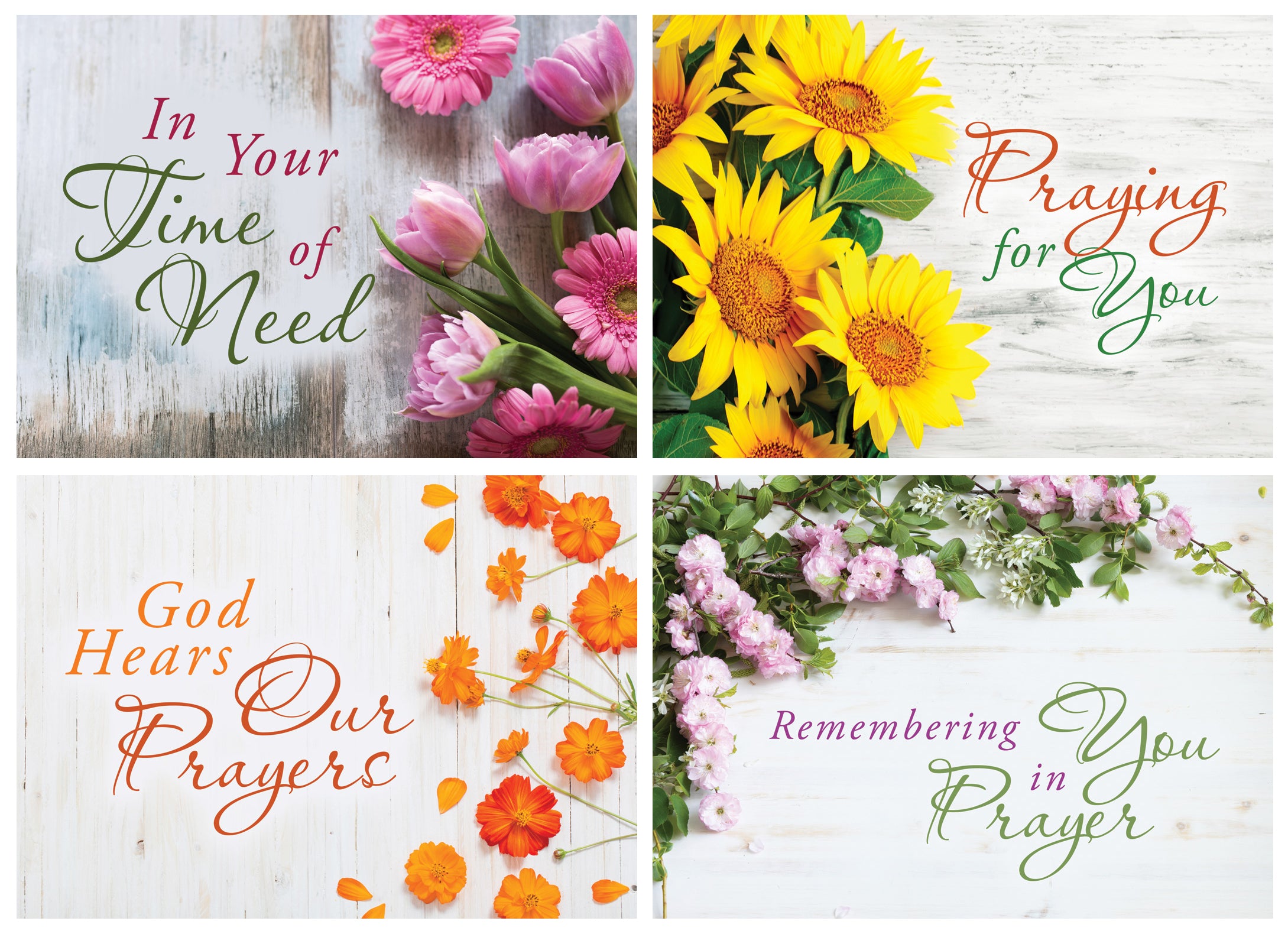 Boxed Cards Praying for You: God Hears (NIV, 12 cards/envelops, 3 each of 4 designs)