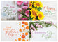 Boxed Cards Praying for You: God Hears (NIV, 12 cards/envelops, 3 each of 4 designs)