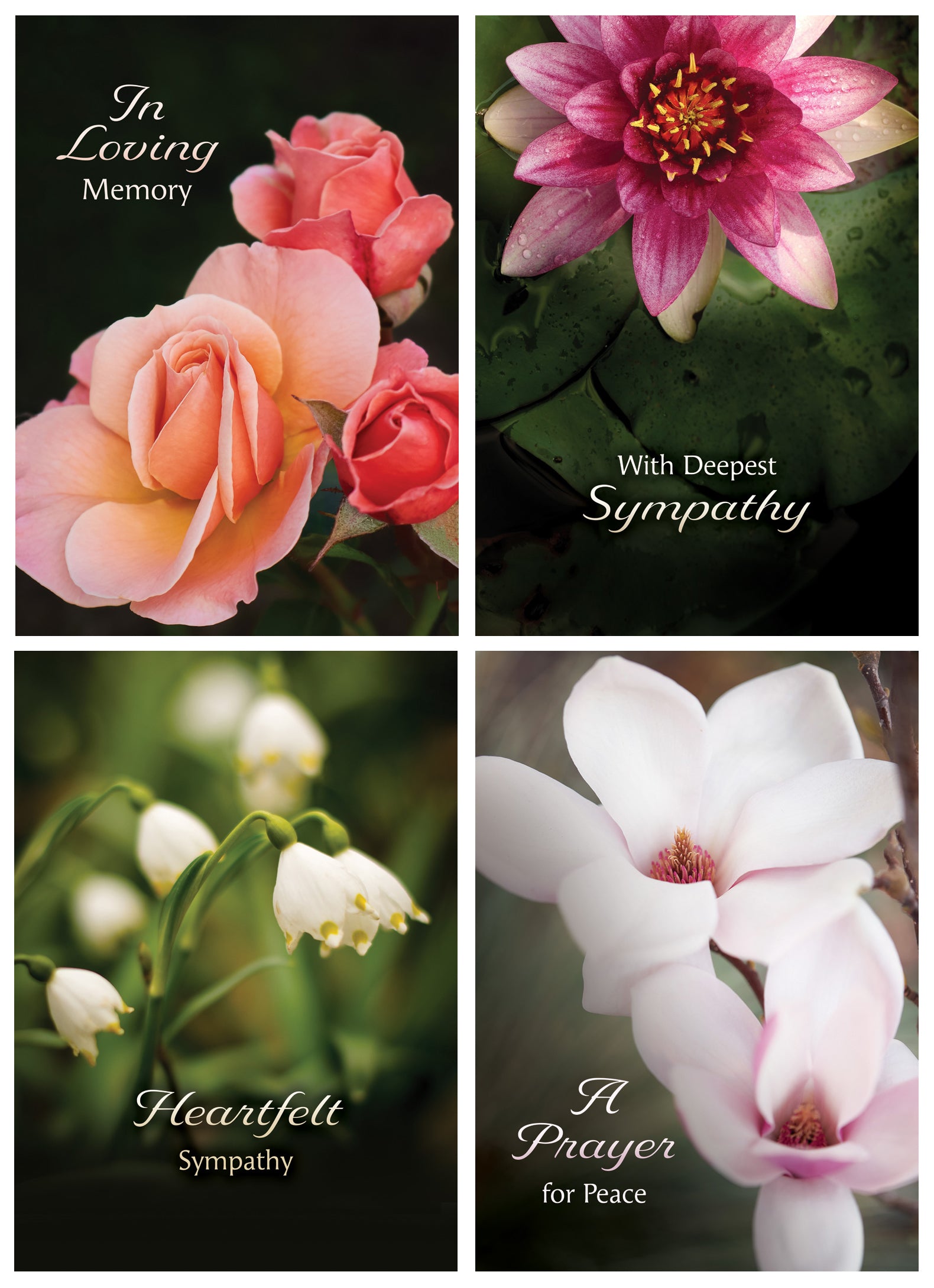 Boxed Cards Sympathy: In Loving Memory (NIV, 12 cards/envelops, 3 each of 4 designs)