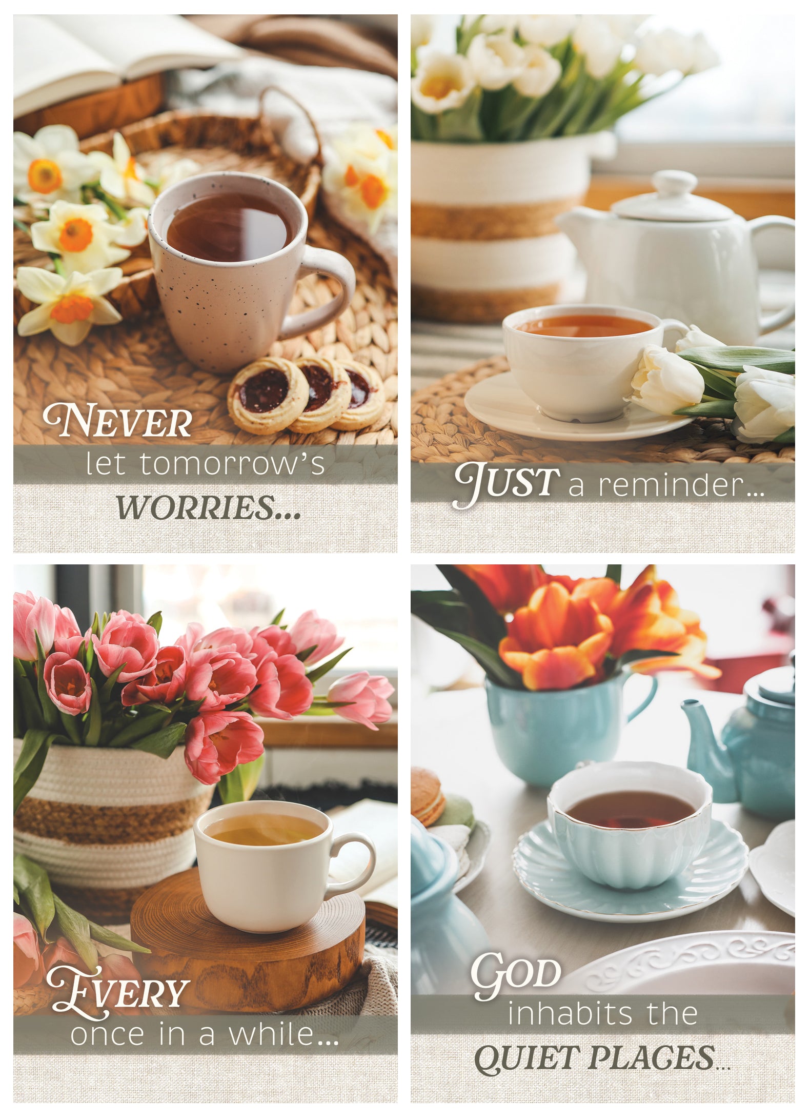 Boxed Cards Thinking of You: Cozy Cups (NIV, 12 cards/envelops, 3 each of 4 designs)