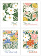 Boxed Cards Thank You: Grateful (KJV, 12 cards/envelops, 3 each of 4 designs)