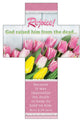 Bookmark Cross Shape Easter (25 Pack): Rejoice! (Acts 2:24, KJV)