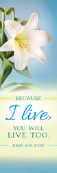 Bookmark Easter (25 Pack): Because I Live (John 14:19)