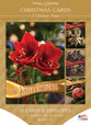Boxed Cards Christmas: A Christmas Prayer (NIV, 12 cards/envelopes, 3 each of 4 designs)