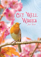 Boxed Cards: All Occasion - Feathered Friends  (KJV)