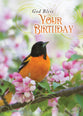 Boxed Cards: All Occasion - Feathered Friends  (KJV)