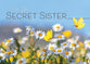 Boxed Cards: All Occasion - Secret Sister    (KJV/NIV)