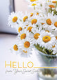 Boxed Cards: All Occasion - Secret Sister    (KJV/NIV)