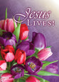 Boxed Cards: All Occasion - Secret Sister    (KJV/NIV)