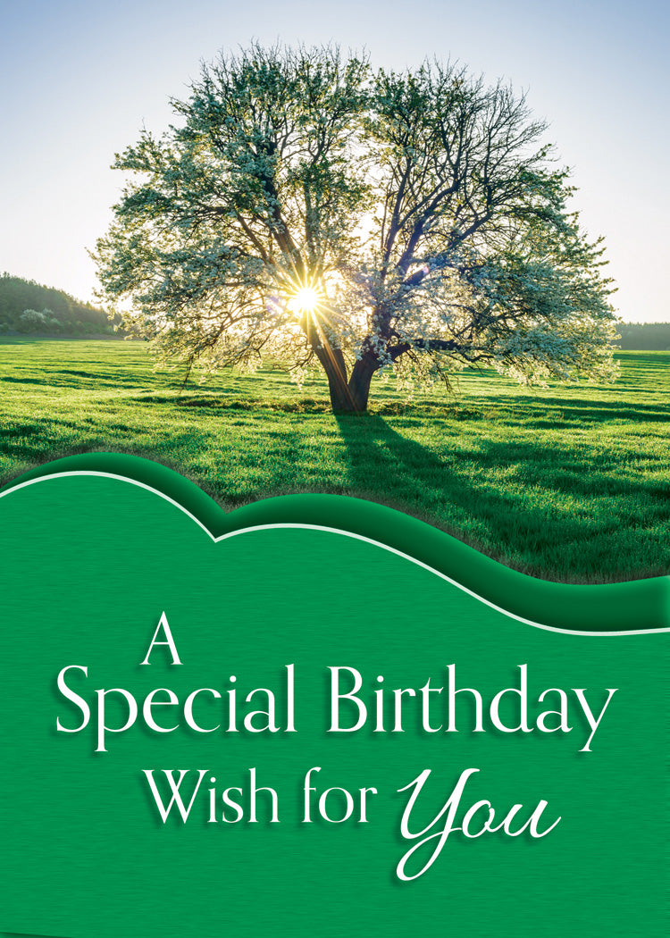 Boxed Cards: Birthday - Brightest Blessings  (KJV)