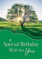Boxed Cards: Birthday - Brightest Blessings  (KJV)