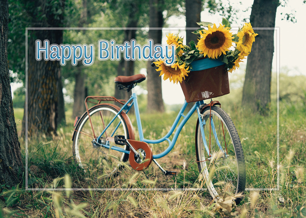 Boxed Cards: Birthday - Sunny Wishes  (NIV)