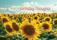 Boxed Cards: Birthday - Sunny Wishes  (NIV)