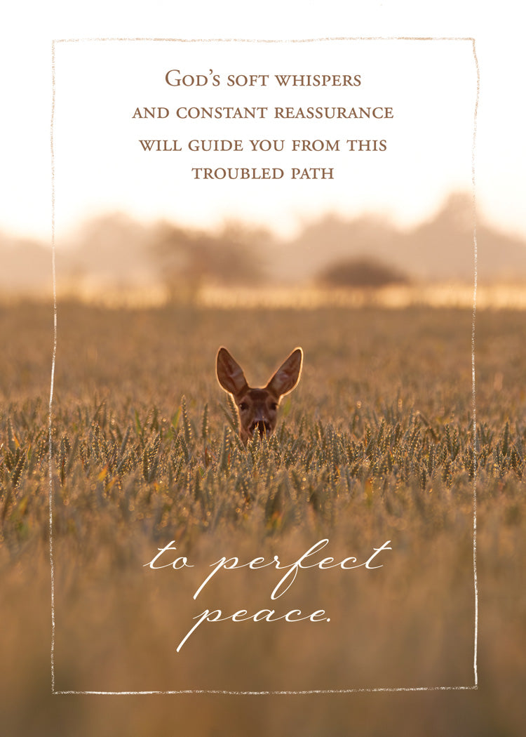 Boxed Cards: Empathy - Perfect Peace  (KJV)