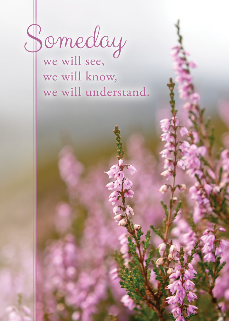 Boxed Cards: Encouragement - Day by Day  (KJV)
