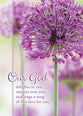 Boxed Cards: Encouragement - Day by Day  (KJV)