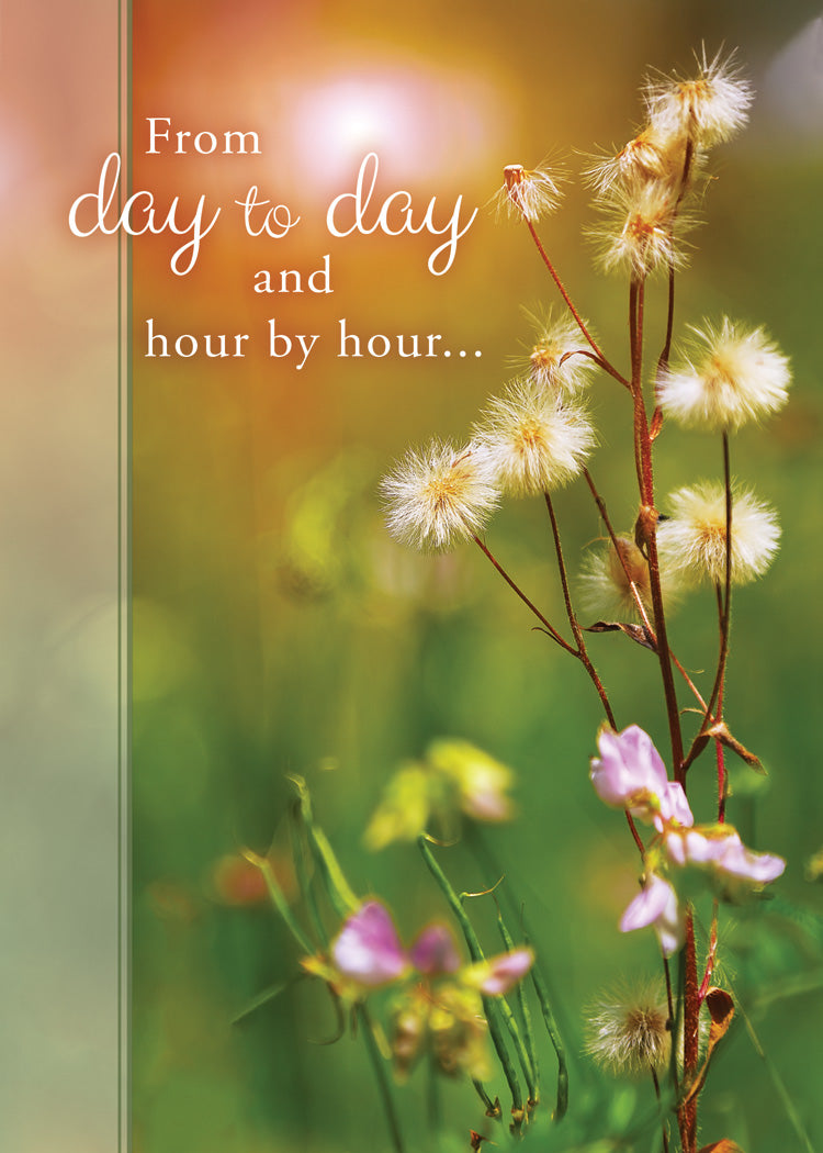 Boxed Cards: Encouragement - Day by Day  (KJV)
