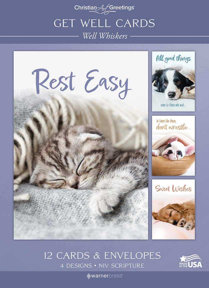 Boxed Cards: Get Well - Well Whiskers  (NIV)