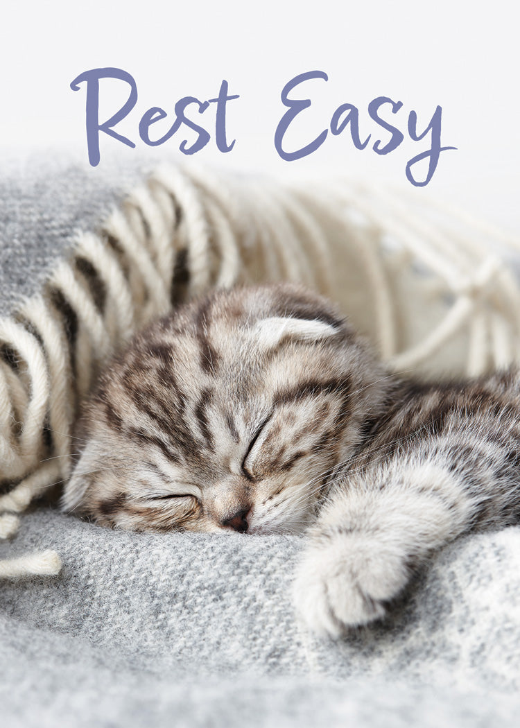 Boxed Cards: Get Well - Well Whiskers  (NIV)