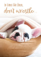 Boxed Cards: Get Well - Well Whiskers  (NIV)