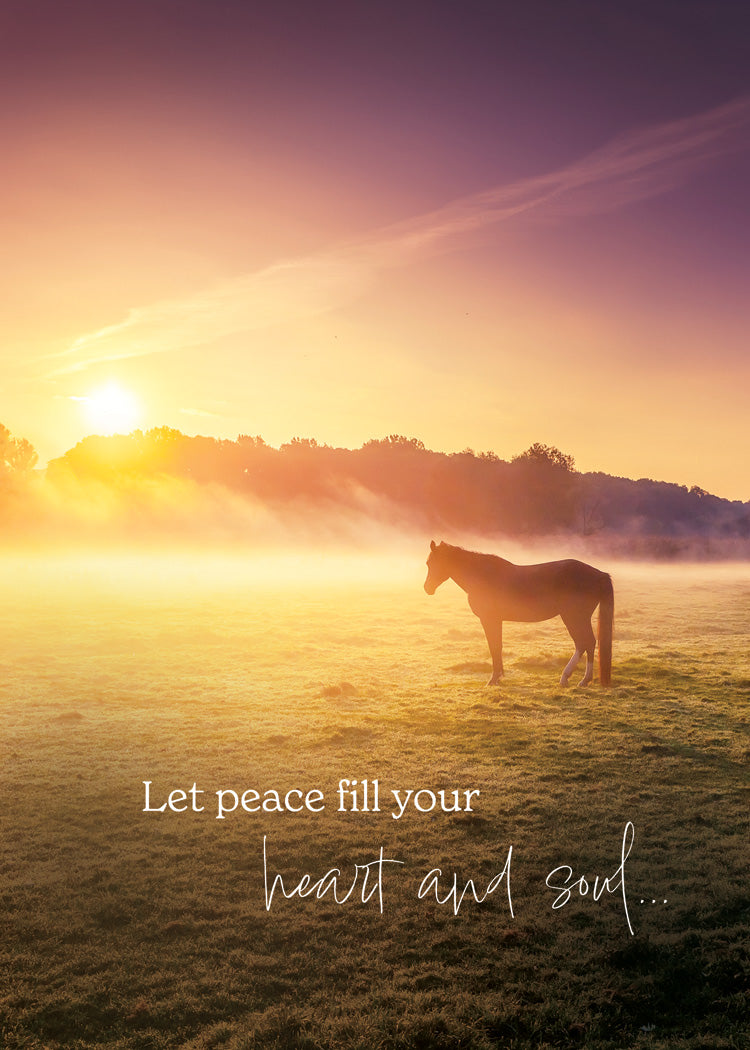 Boxed Cards: Praying for You - Misty Moments  (NIV)