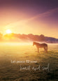 Boxed Cards: Praying for You - Misty Moments  (NIV)