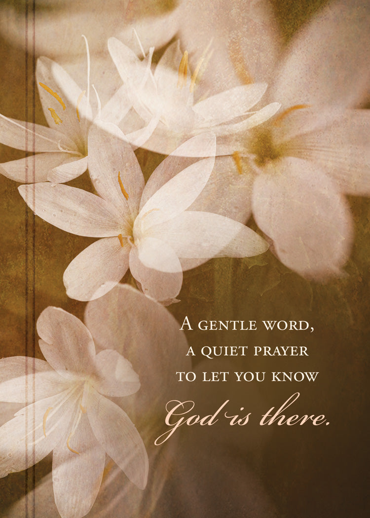Boxed Cards: Sympathy - In God's Arms  (KJV)