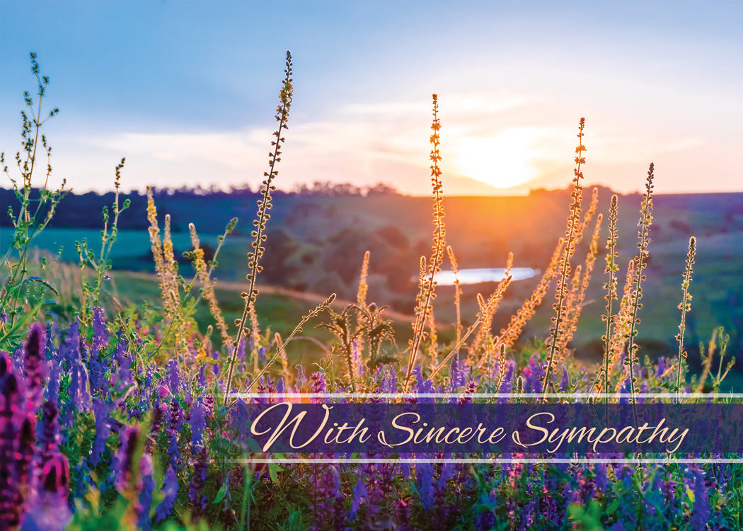 Boxed Cards: Sympathy - Until We Meet Again  (NIV)