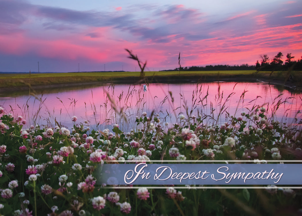 Boxed Cards: Sympathy - Until We Meet Again  (NIV)