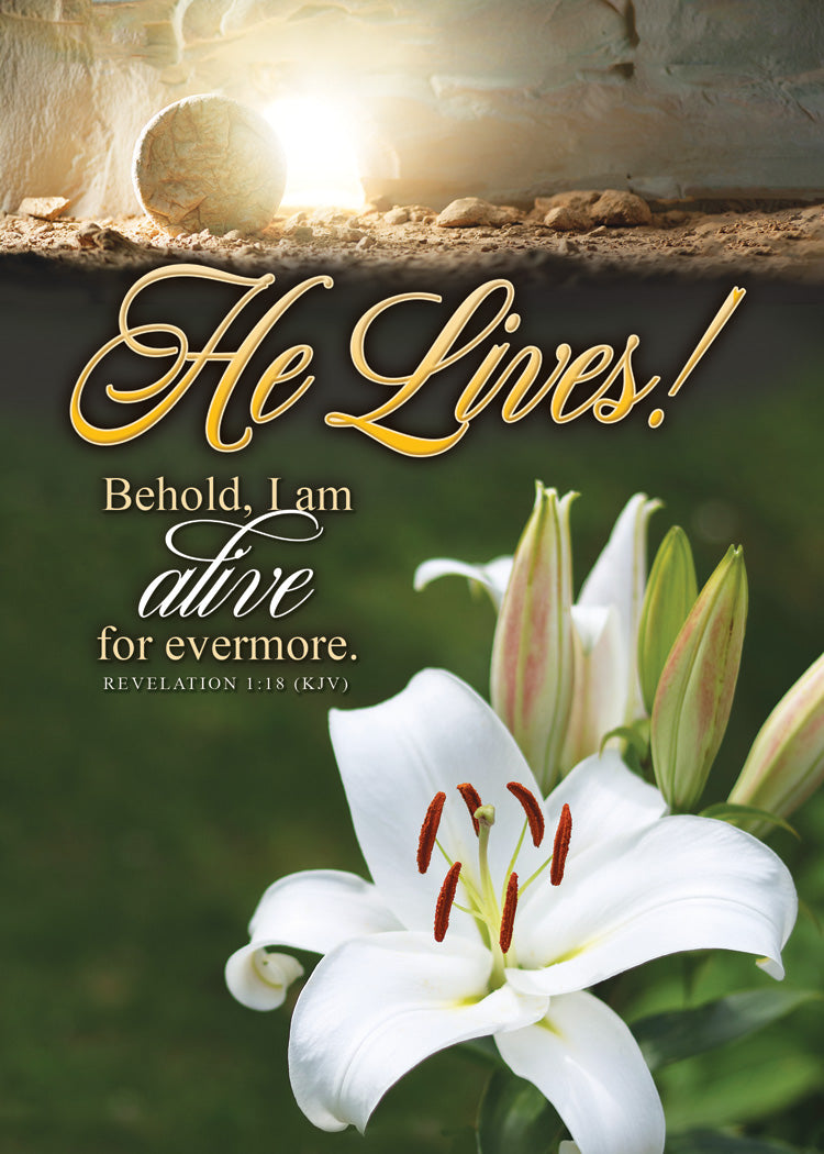 Boxed Cards: Easter - New Life  (KJV)