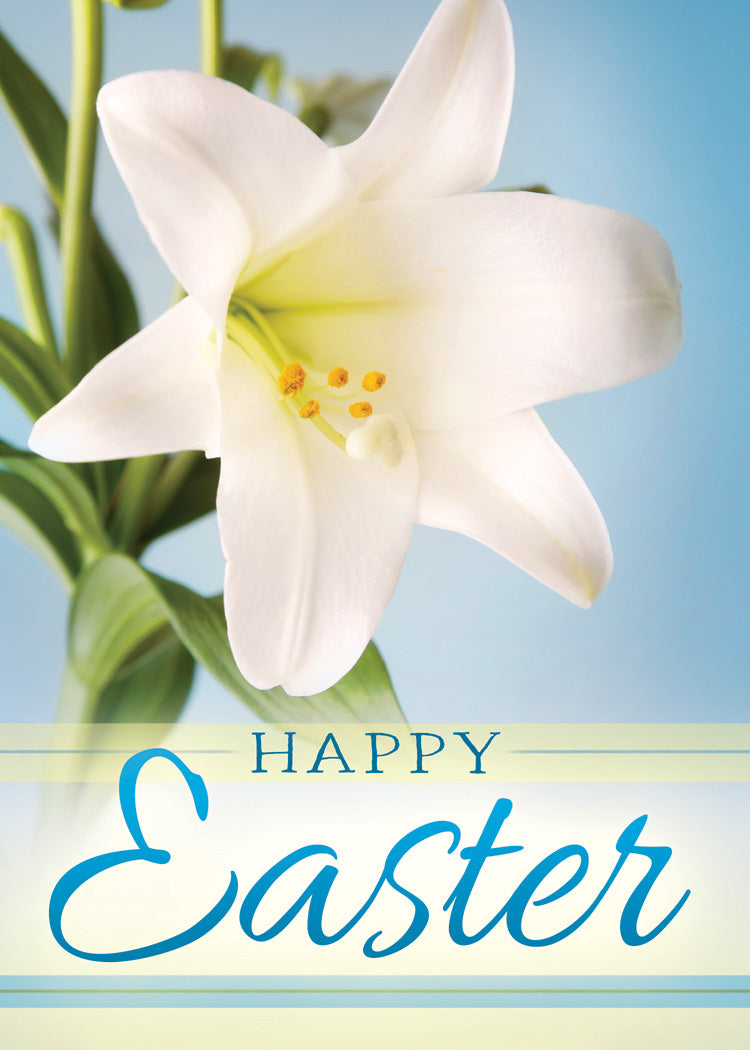 Boxed Cards: Easter - New Life  (KJV)