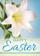 Boxed Cards: Easter - New Life  (KJV)
