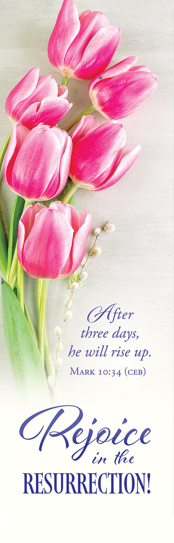 Bookmark (25 Pack): Easter - Rejoice in the Resurrection! (Mark 10:34 CEB)