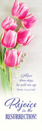 Bookmark (25 Pack): Easter - Rejoice in the Resurrection! (Mark 10:34 CEB)