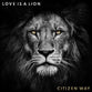 Love is a Lion