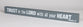 Skinny Plaque: Trust in the Lord With All Your Heart, Gray