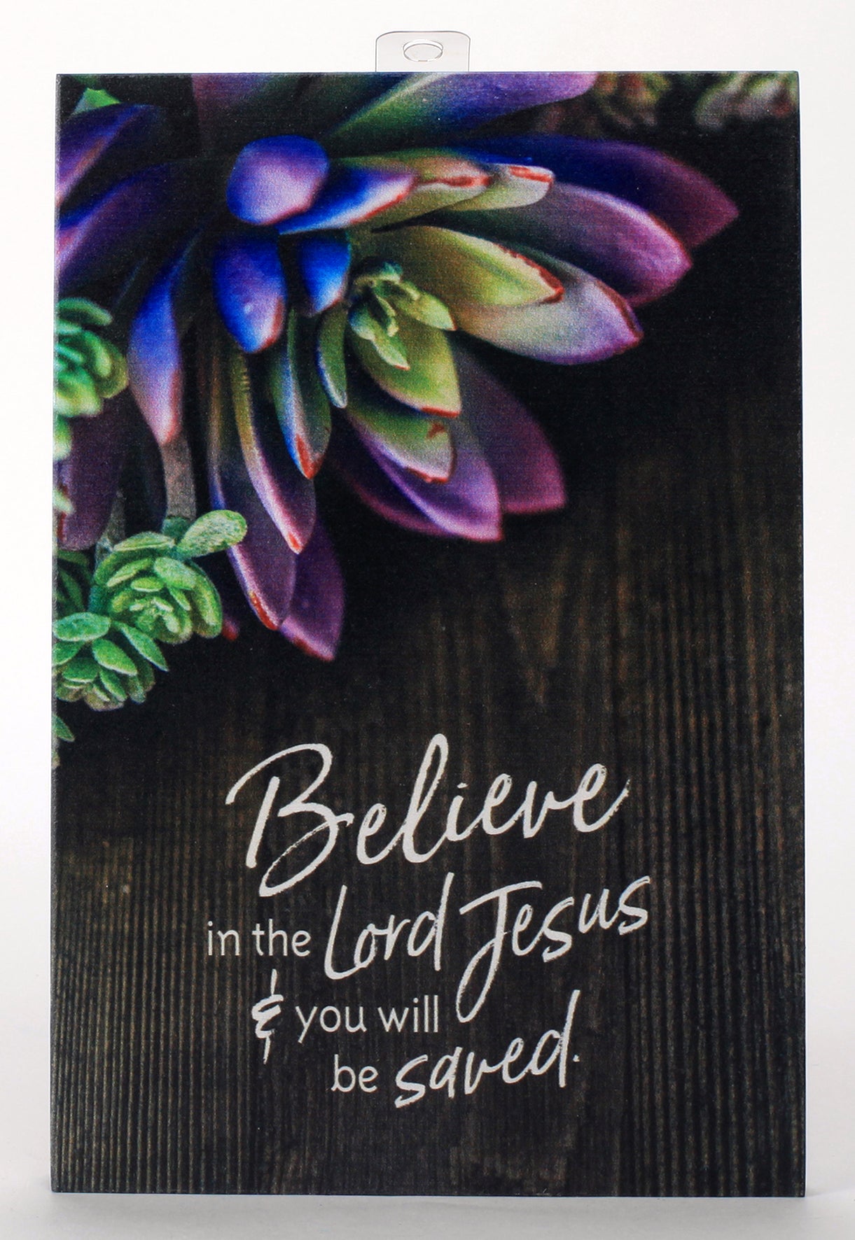 New Horizons Bright Plaque: Believe in the Lord Jesus & You Will Be Saved, Wood/Purple Sunculant
