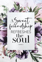 Renew My Soul Plaque: A Sweet Friendship Refreshes the Soul, Proverbs 27:9, Mdf With Silver Edge