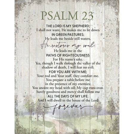 New Horizons Plaque, Mdf: Psalm 23, Natural Edge