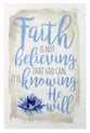 New Horizons Plaque: Faith is Not Believing That God Can, It is Knowing That He Will, Blue Flower/Beige
