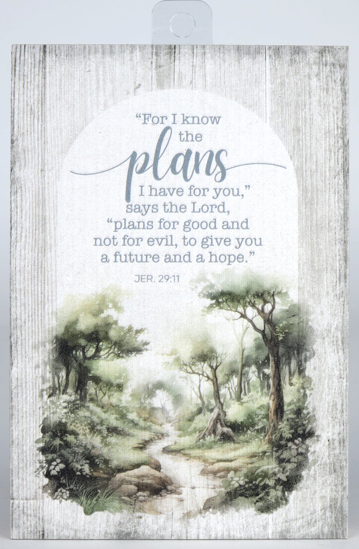 Plaque (MDF): For I know the Plans - Mini Blessings