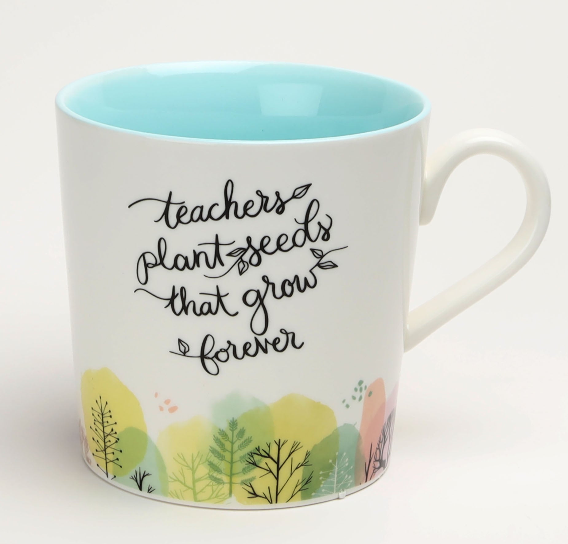Ceramic Mug: Teachers Plant Seeds, Blue Inside (414ml)